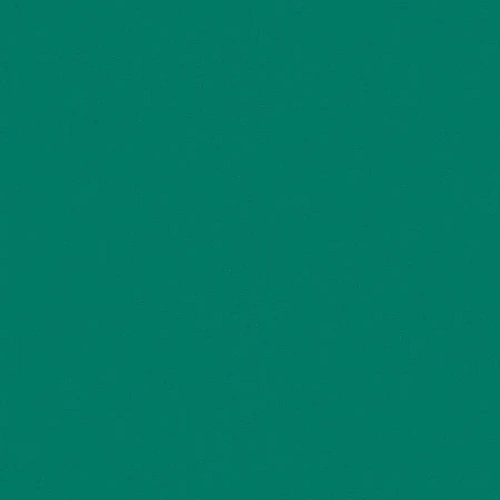 Omnisports Action 65