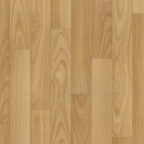 Omnisports Action 65