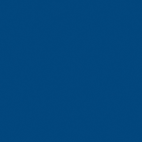 Omnisports Action 40