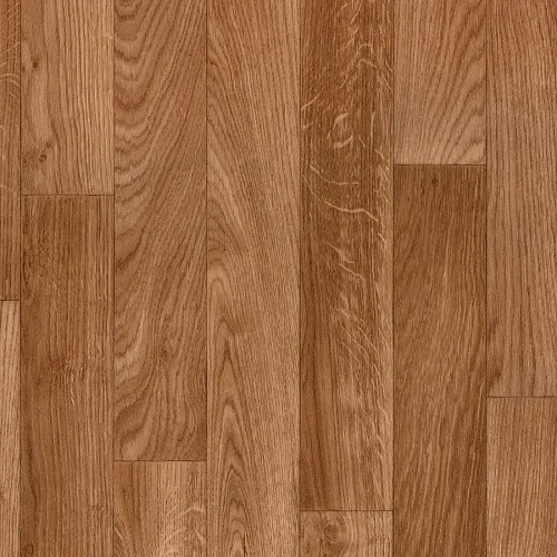 Omnisports Action 65