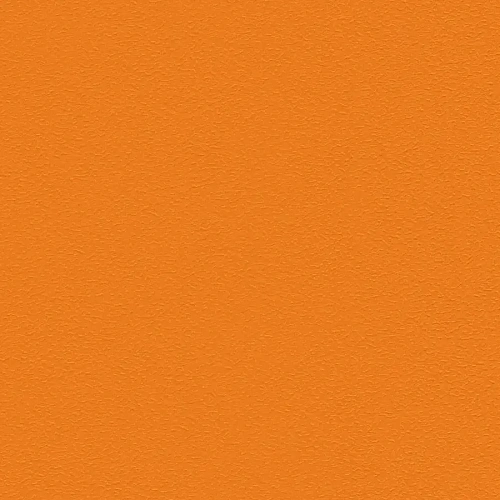 Omnisports Action 65