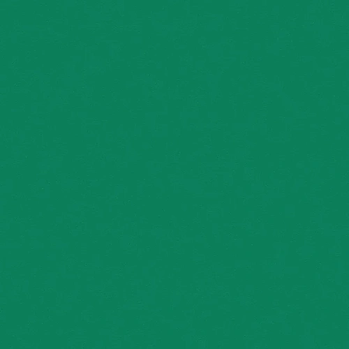 Omnisports Action 65