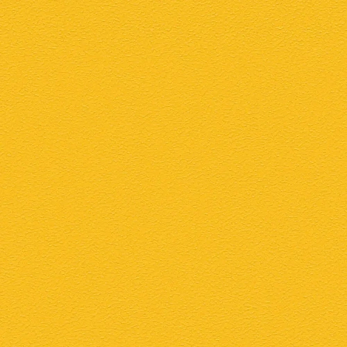 Omnisports Action 65