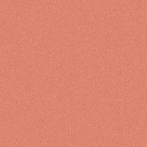 Omnisports Action 40