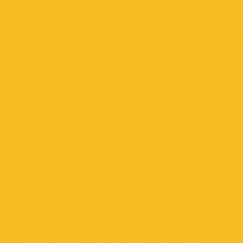 Omnisports Action 40