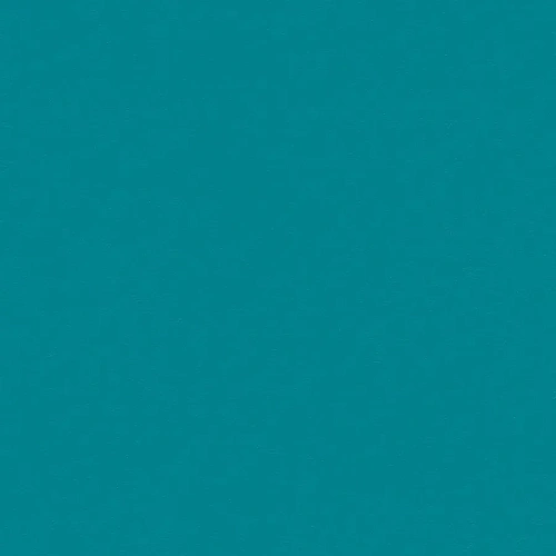 Omnisports Action 65