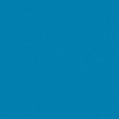 Omnisports Action 65