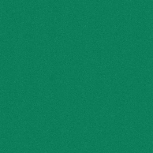 Omnisports Action 40