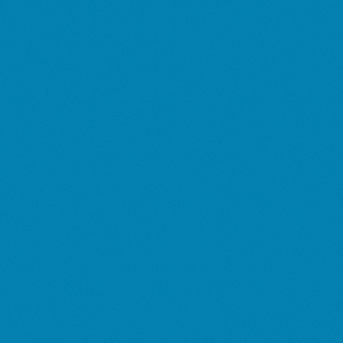 Omnisports Action 40